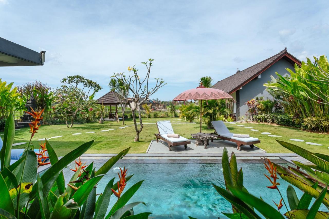 Carik Bali Guest House Canggu エクステリア 写真